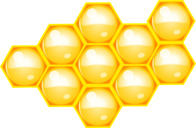 alvéole
