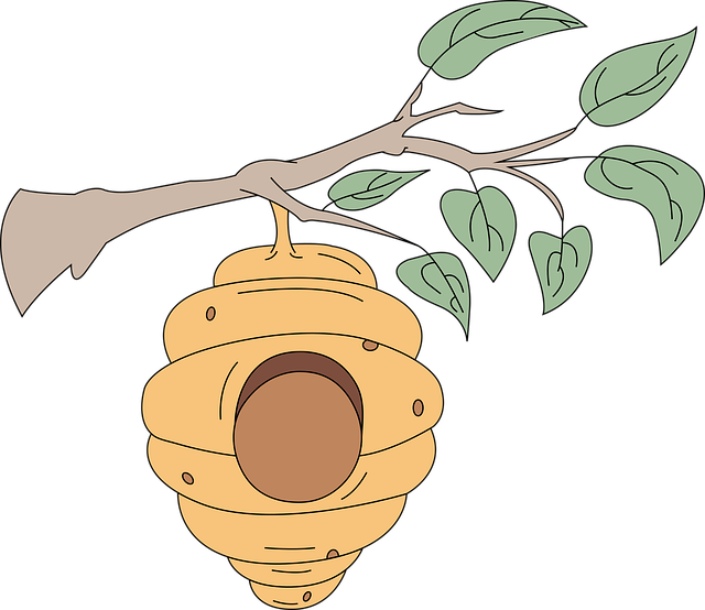 beehive-6140622_640